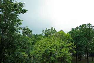 Мини-отель Мини-гостиница ЭкоДом Минск Стандартный двухместный номер с 2 отдельными кроватями-5